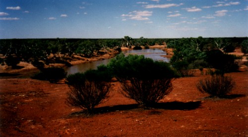 Looking upriver from Coolcalalaya homestead.