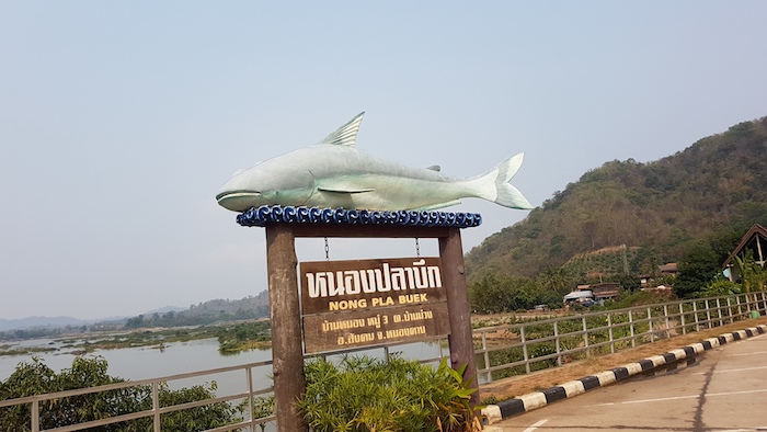 The Mekong River at Nong Pla Buek.