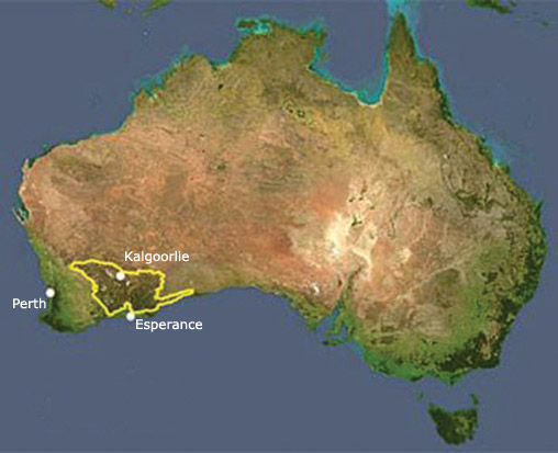 Extent of the Great Western Woodlands.