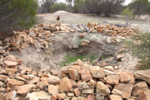 tampu well
