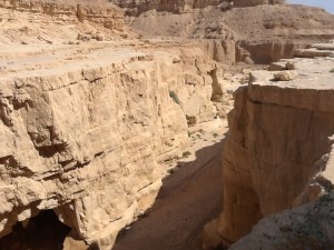 Wadi Zin