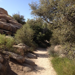 Track to Barker Dam.