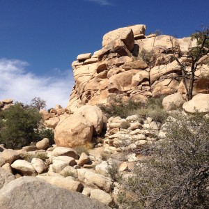 Baker Dam area.