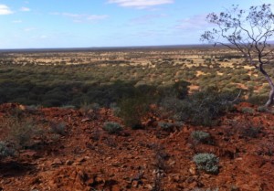 There's gold on that ridge.