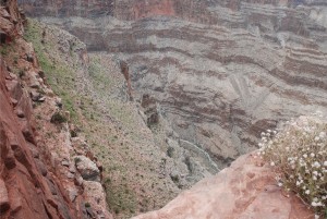 grand-canyon-13