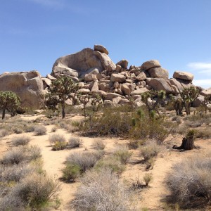 An inselberg.