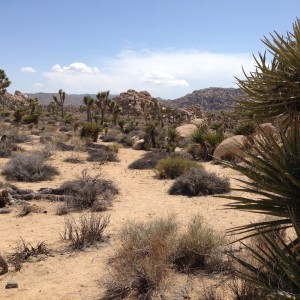 Harsh, spectacular landscape.