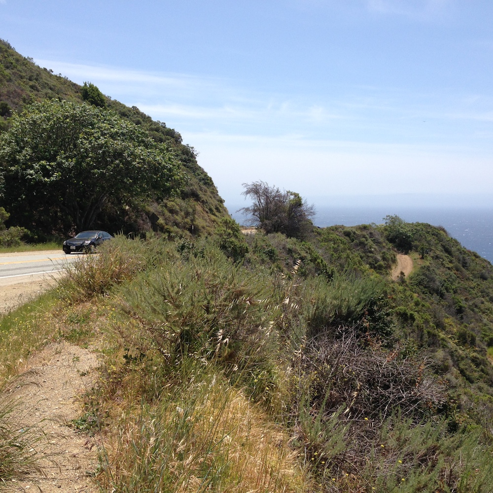 On the road near Big Sur.