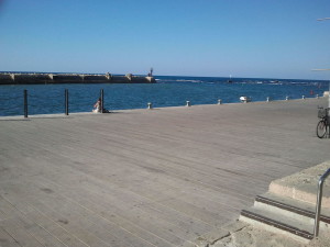 Jaffa Harbour