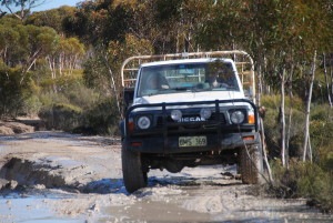 Barry and Andrew at boghole at Wattle Rock.