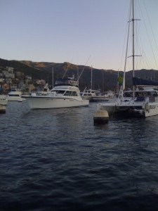 Moorings in the harbour.