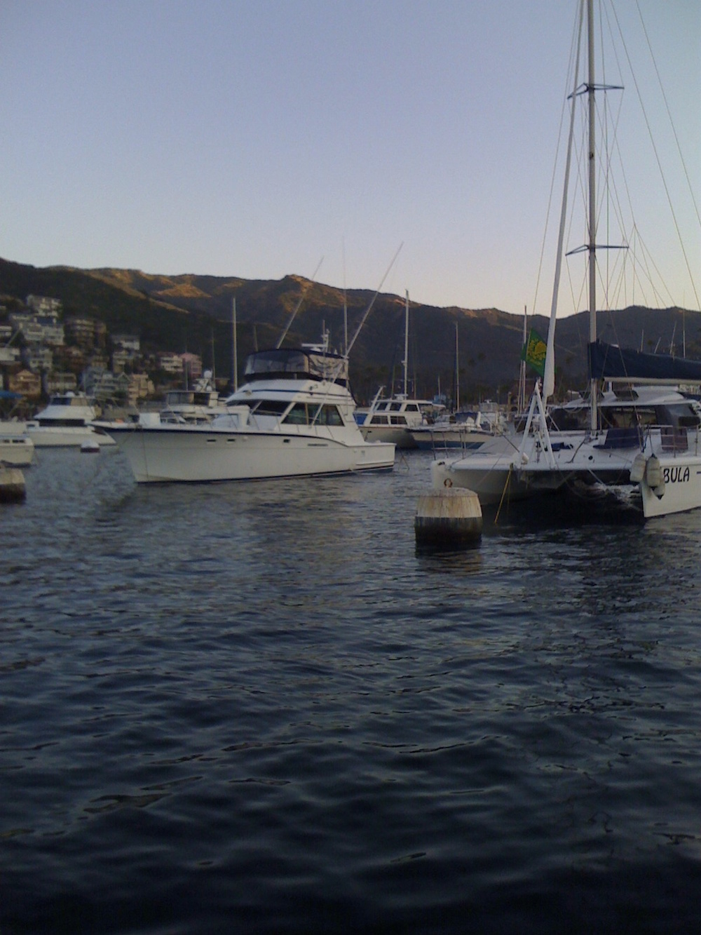 Moorings in the harbour.