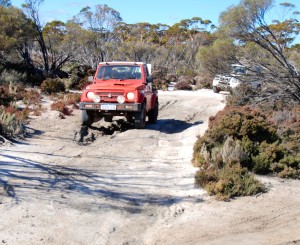 Maruti Gypsy King