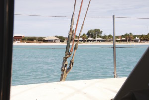 Artistic shot attempt.