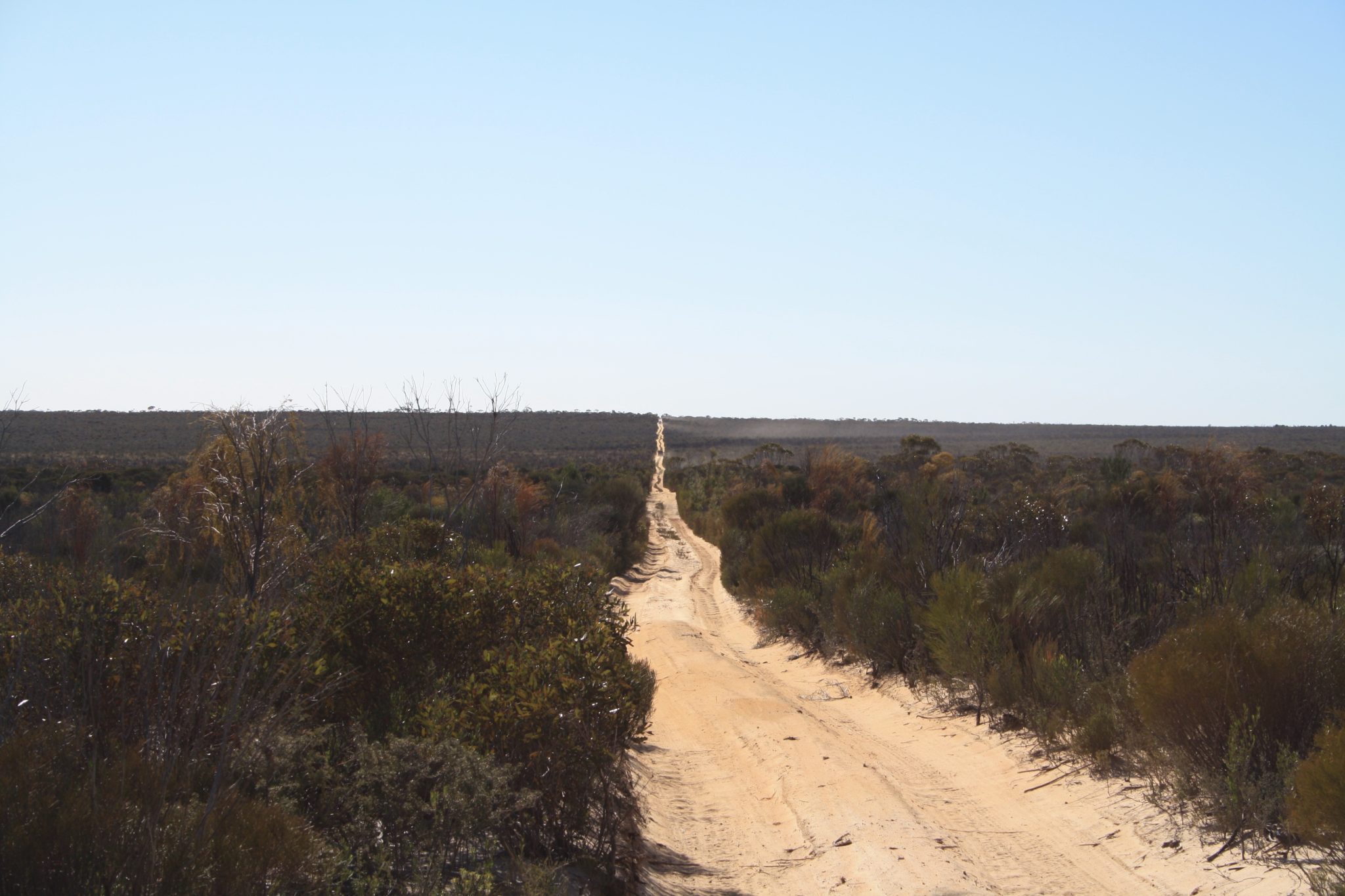 Mt Day Road