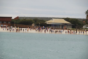 The dolphins are in.