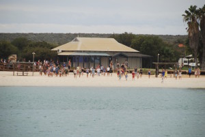 Tourists waiting for the dolphins to arrive.