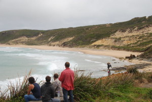 Watching the surfers.