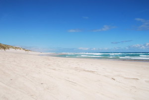 Warren Beach