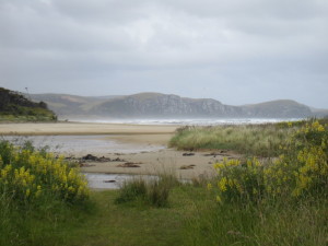 Catlin Coast