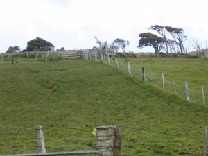 Catlin Coast