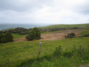 Catlin Coast