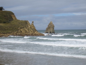 Karitane Beach