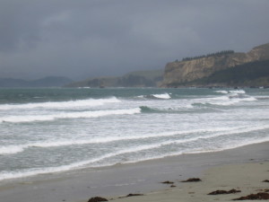 Karitane Beach