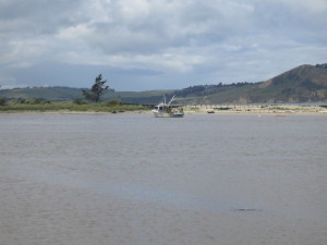 Karitane Beach