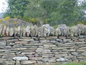 Macraes Stone Wall