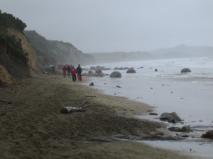 Moeraki Boulders at Koekohe Beach.