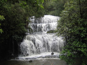 Purakaunui Falls