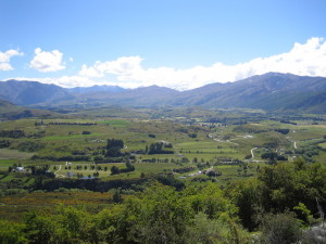 Queenstown Area