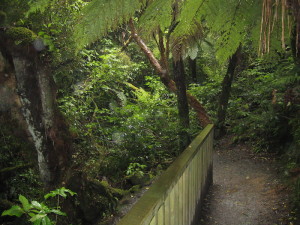 Walkways lead to the Falls.