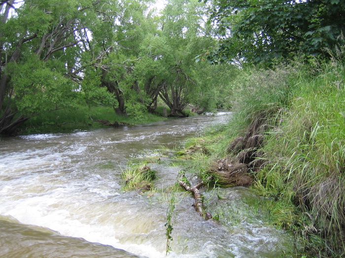 Swollen Creek on the way to Macraes.