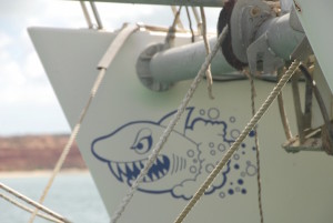 Appropriate for Shark Bay.