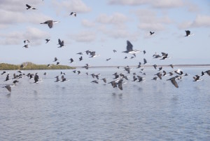 Faster than the inflatable.