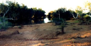 Typical Murchison country.
