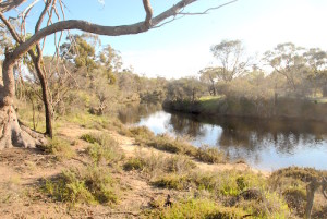 Avon River at the Yenyenning Lakes outfall.