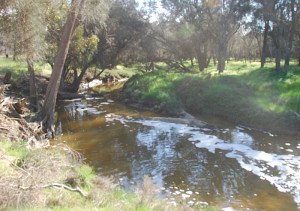 Avon River at Boyagarra Bridge.