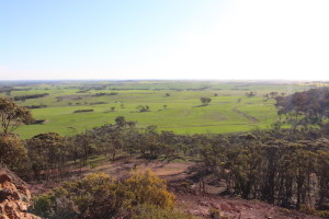 County Peak vista
