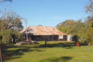 Derelict farm house on Caudle Rd south of Beverley.