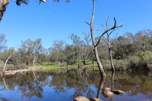 The pool at Posselts Ford.
