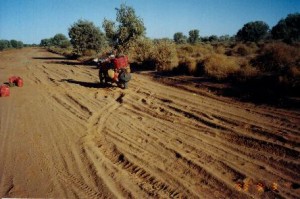 Wheel tracks tell the story.