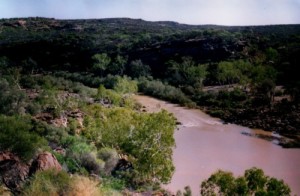 The start of the Murchison Gorges.