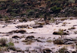 Cameron reached the boat.