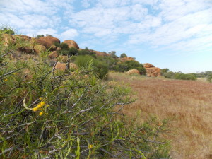 Billiburning Rock