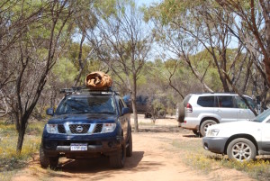 Paul's Navara
