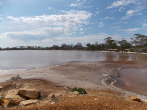 Lake Brown