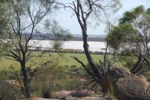 View of Lake Brown. Photo by Kim Epton.